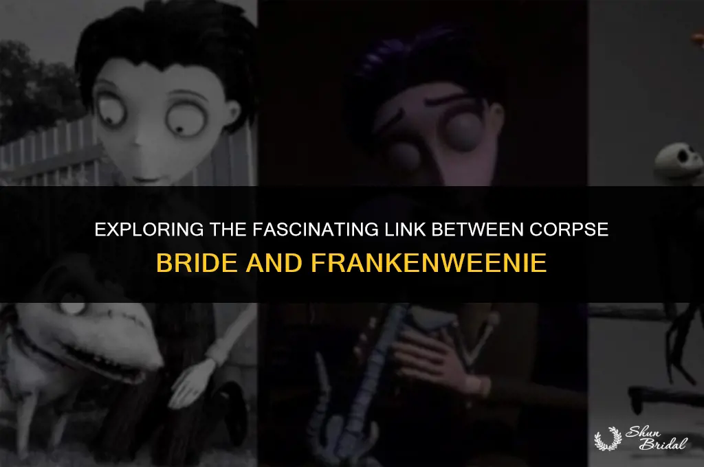 are corpse bride and frankenweenie connected