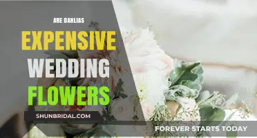 Dahlias: Affordable Wedding Flowers?