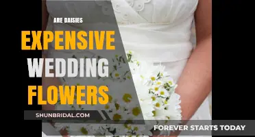 Daisies: Affordable Wedding Flowers for Your Big Day
