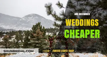 December Weddings: Cheaper or Costly?