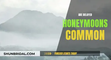 Delayed Honeymoons: Common or Uncommon?
