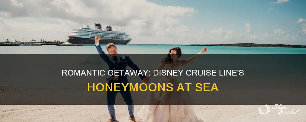 are disney cruises suitable for a honeymoon