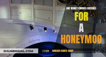 Honeymooners: Are Disney Cruises Magical Enough?