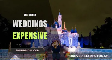 Disney Weddings: Expensive Dreams or Affordable Fantasies?