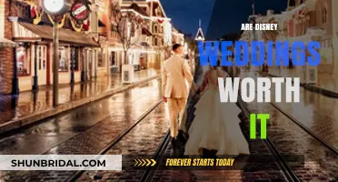 Disney Weddings: Dream or Disaster?