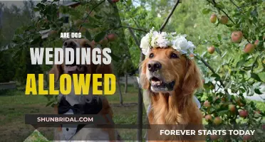 Pet Nuptials: Can Dogs Marry?