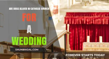 Can Dogs Attend Catholic Weddings?