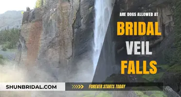Can Dogs Visit Bridal Veil Falls? A Complete Guide for Pet Owners