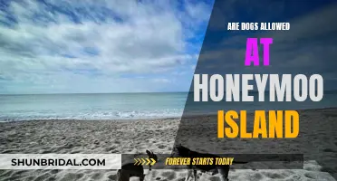 Honeymoon Island: A Paradise for Couples and Their Dogs?