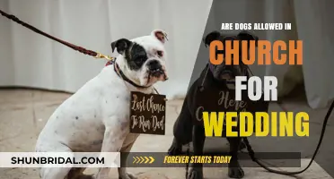 Can Dogs Attend Church Weddings?