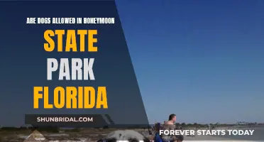 Exploring Florida's Honeymoon State Park: Dog-Friendly Paradise or No?