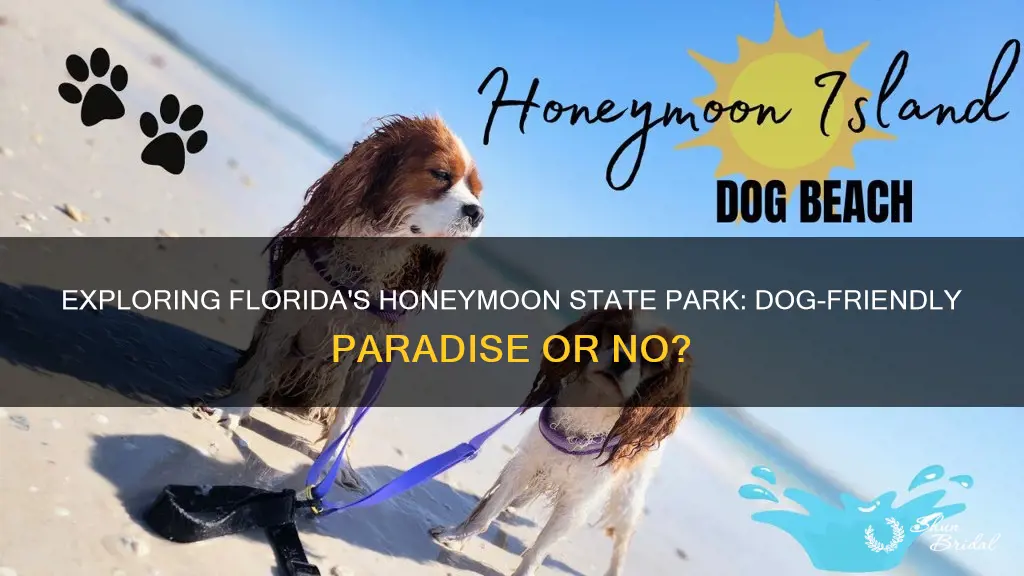 are dogs allowed in honeymoon state park florida