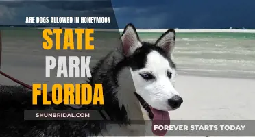 Honeymoon State Park: Can Dogs Join the Fun?