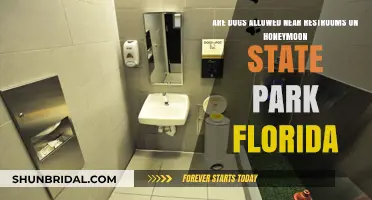 Can Dogs Accompany You to Restrooms at Honeymoon Island State Park?