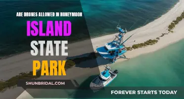 Honeymoon Island State Park: Drone Regulations and Tips for Visitors