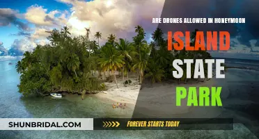 Can You Fly Drones at Honeymoon Island State Park? Rules Explained