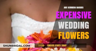 Gerbera Daisies: Affordable Wedding Flowers?