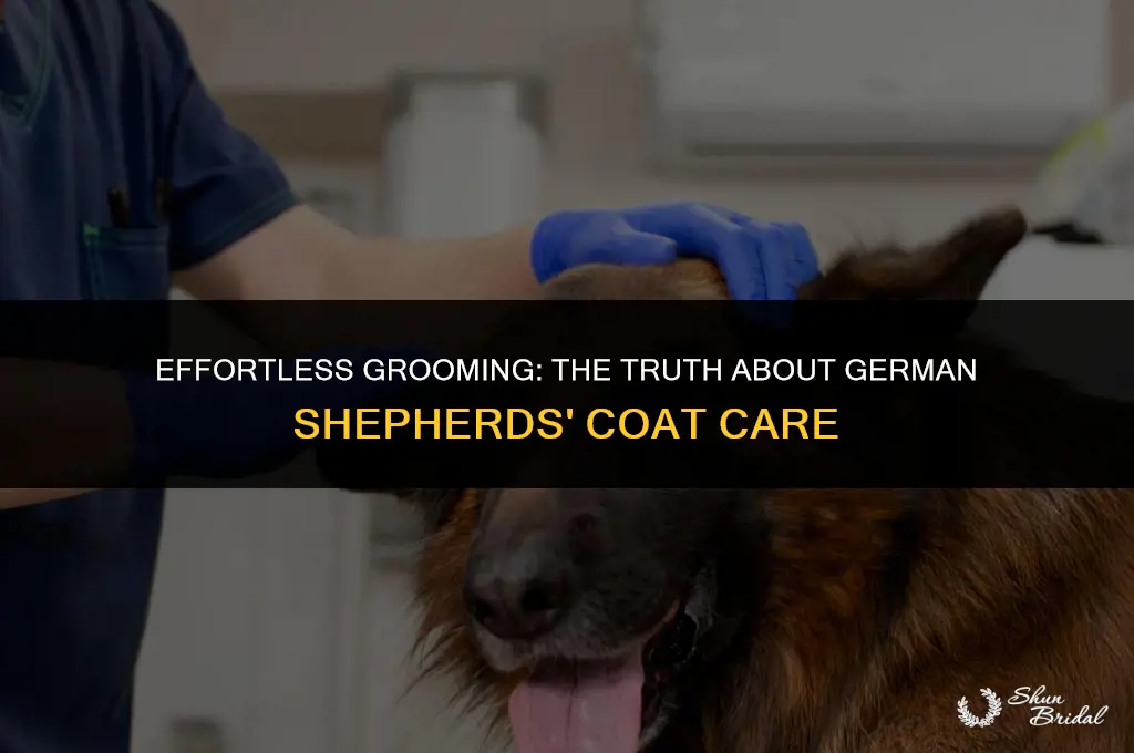 are german shepherd easy to groom