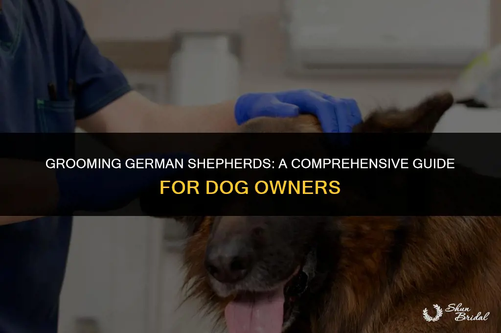 are german shepherds hard to groom