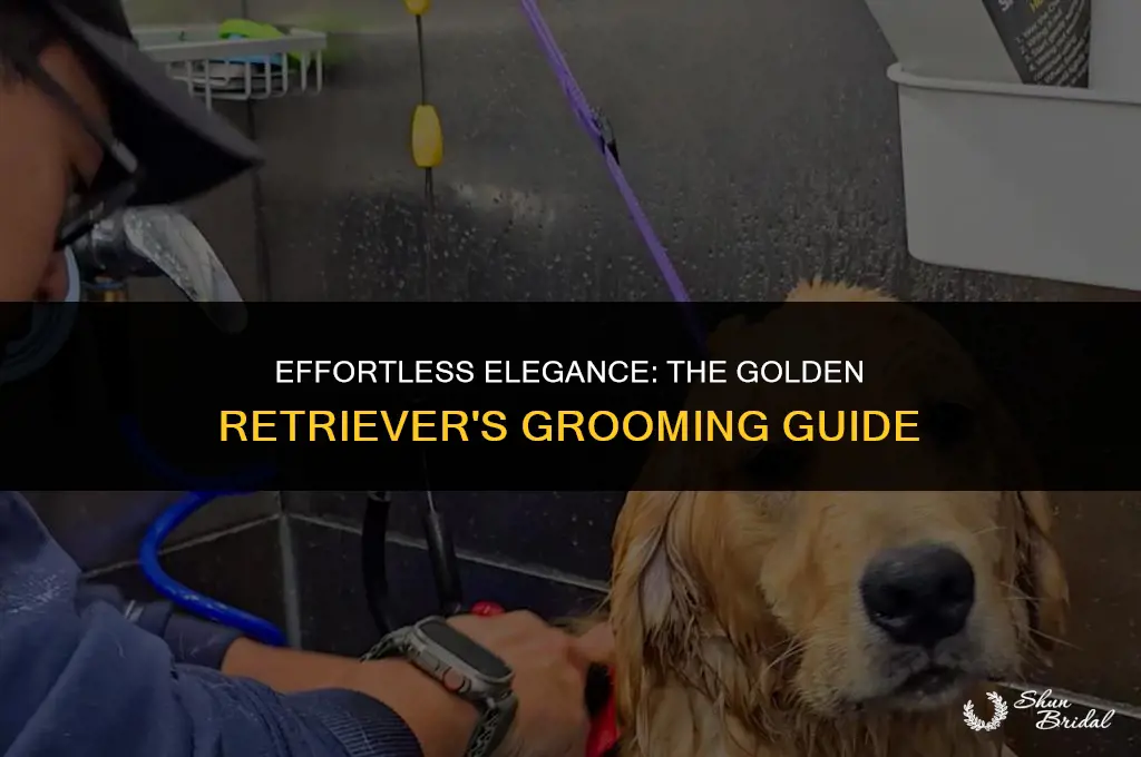 are golden retrievers easy to groom