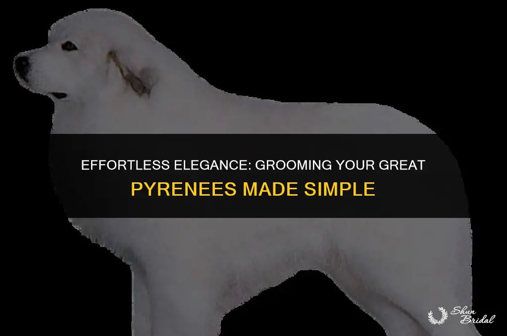 are great pyrenees easy to groom