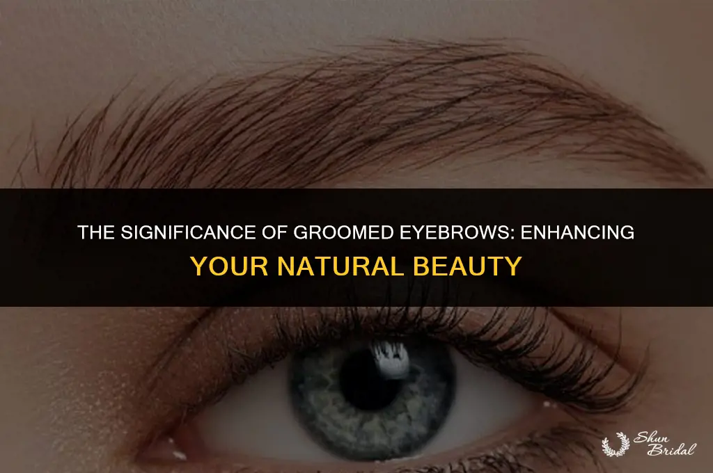 are groomed eyebrows important