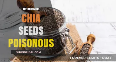 Chia Seed Safety: Are Grooming Chia Seeds Poisonous?