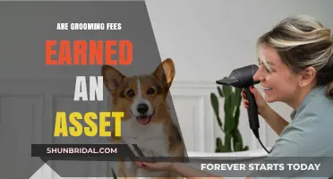 Decoding Grooming Business Finances: Are Earned Fees an Asset?