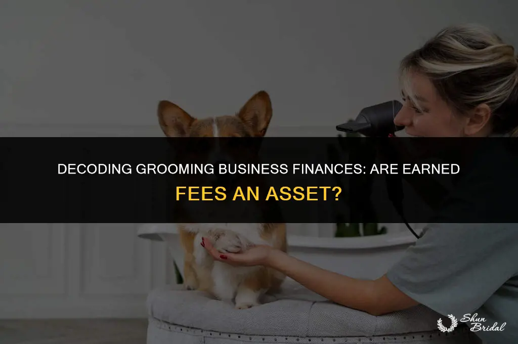 are grooming fees earned an asset