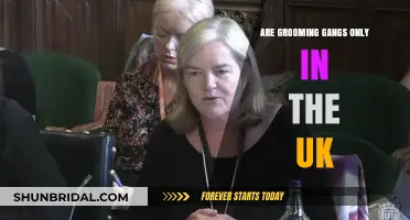 Unveiling the Global Reality: Grooming Gangs Beyond the UK