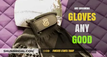 Unveiling the Truth: Do Grooming Gloves Really Deliver?