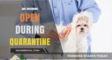 Grooming Services: Open or Closed During Quarantine?