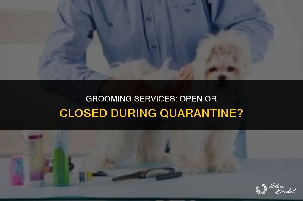 are grooming open during quarantine