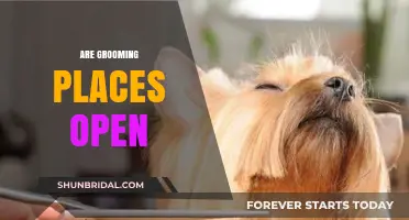 Are Grooming Places Open? A Comprehensive Guide to Pet Care Services During COVID-19