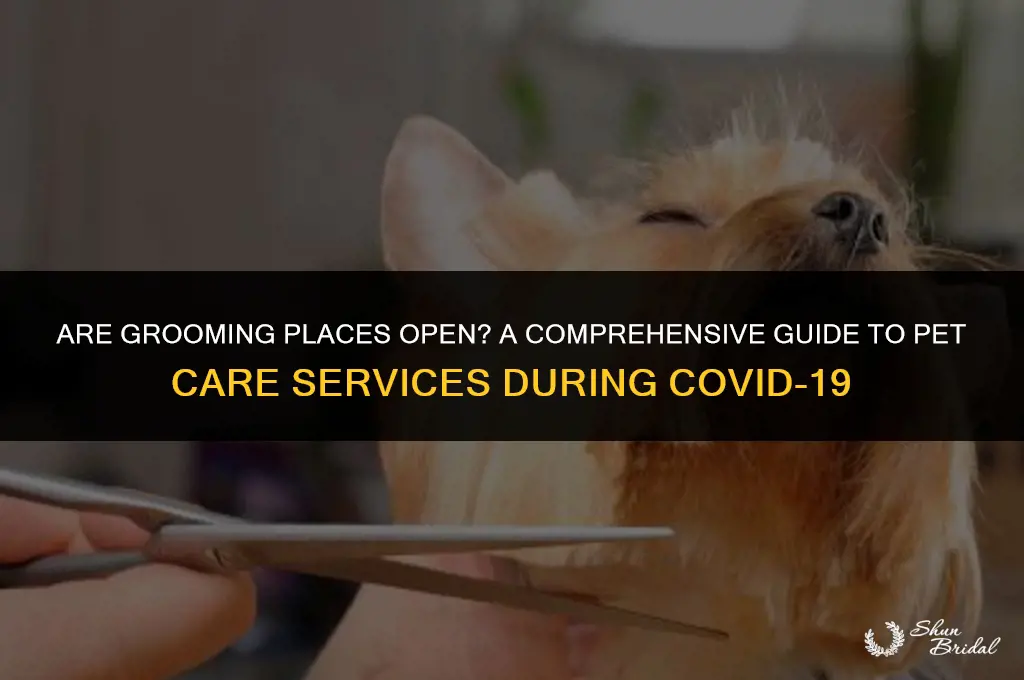are grooming places open