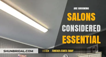 Are Grooming Salons Essential Services? A Comprehensive Guide