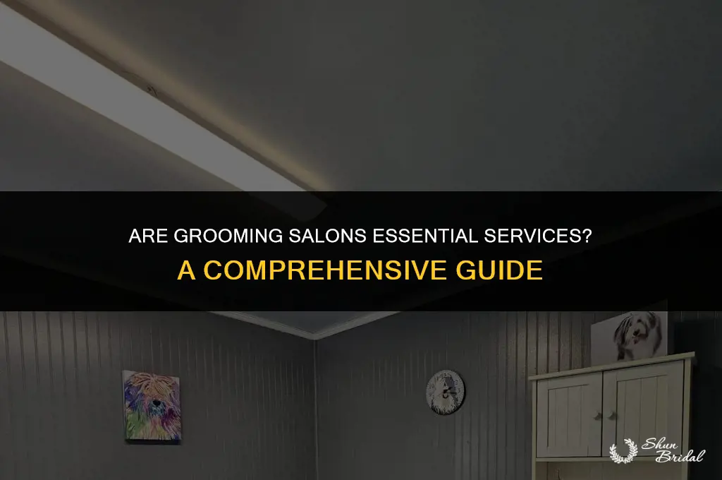 are grooming salons considered essential
