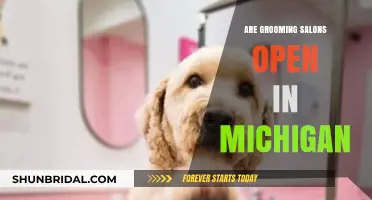 Are Grooming Salons Open in Michigan? Latest Updates