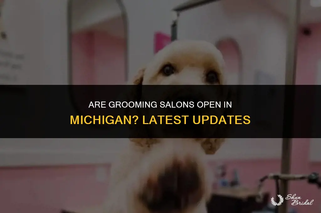 are grooming salons open in michigan