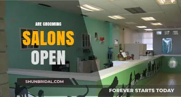 Are Grooming Salons Open? A Comprehensive Guide for Pet Owners
