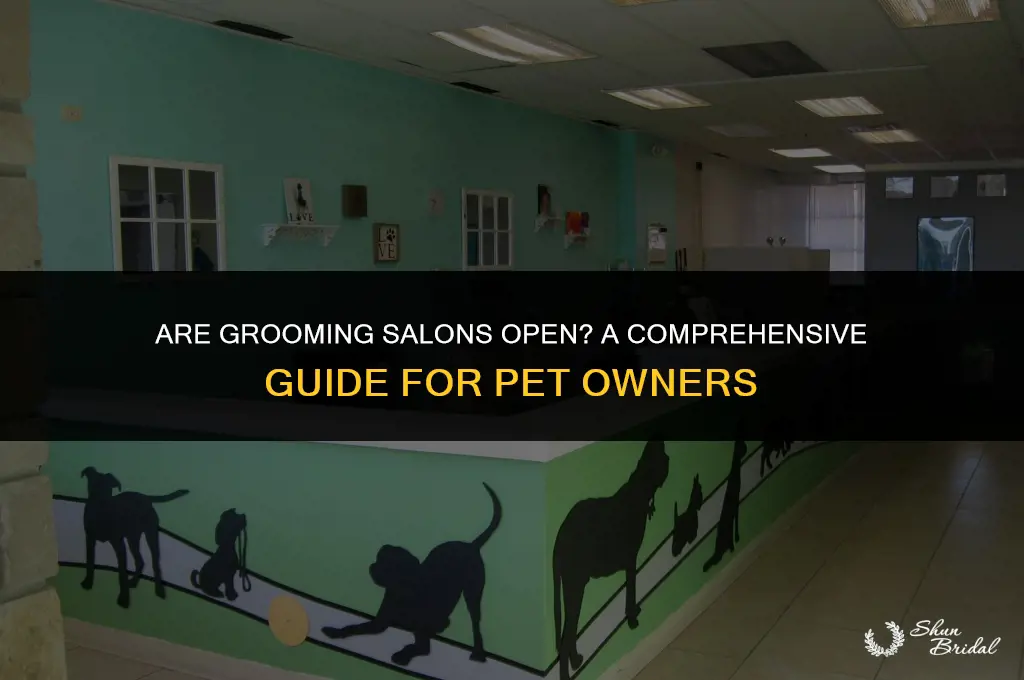 are grooming salons open