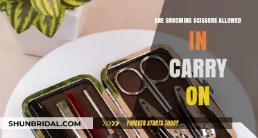 Traveling with Grooming Scissors: Carry-On or Checked?