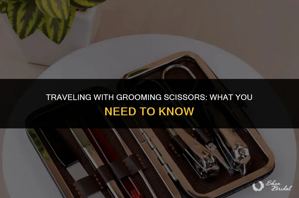 are grooming scissors allowed on planes