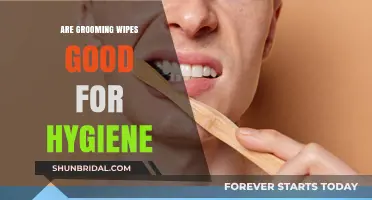 Exploring the Effectiveness of Grooming Wipes for Personal Hygiene