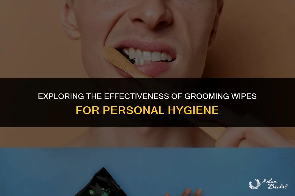 are grooming wipes good for hygiene
