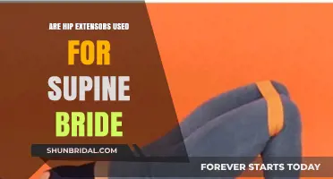 Exploring the Role of Hip Extensors in Supine Bride Positions