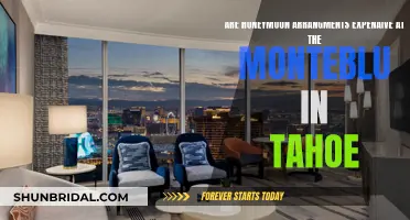 Honeymoon Splurge: Monteblu Tahoe's Luxurious Arrangements