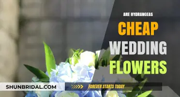 Hydrangeas: Affordable Wedding Flowers for Your Big Day
