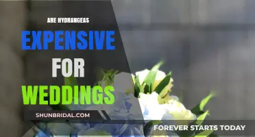 Hydrangeas for Weddings: Affordable or Extravagant?