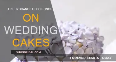 Hydrangeas on Wedding Cakes: Are They Safe or Poisonous?